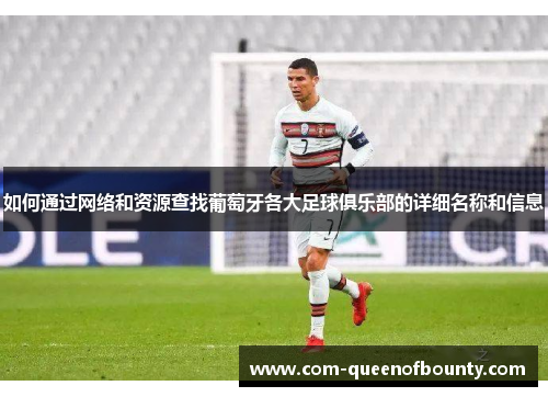 如何通过网络和资源查找葡萄牙各大足球俱乐部的详细名称和信息